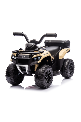 Mini Quad Électrique Safari 6V pour Enfants